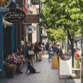 Dog-Friendly Events & Festivals in Winnipeg
