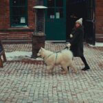 Building a Balanced Daily Routine for Your Toronto Dog