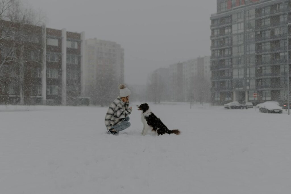 A girl kneels in the snow with her dog during a snowfall in an urban environment.
