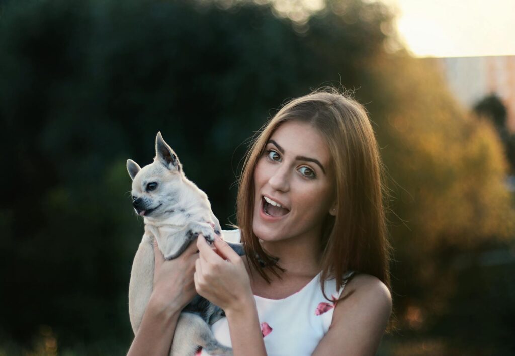 Why Positive Reinforcement Training Works Wonders for Edmonton Dogs