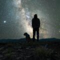 Why Night Safety Matters for Your Ottawa Dog