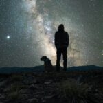 Why Night Safety Matters for Your Ottawa Dog