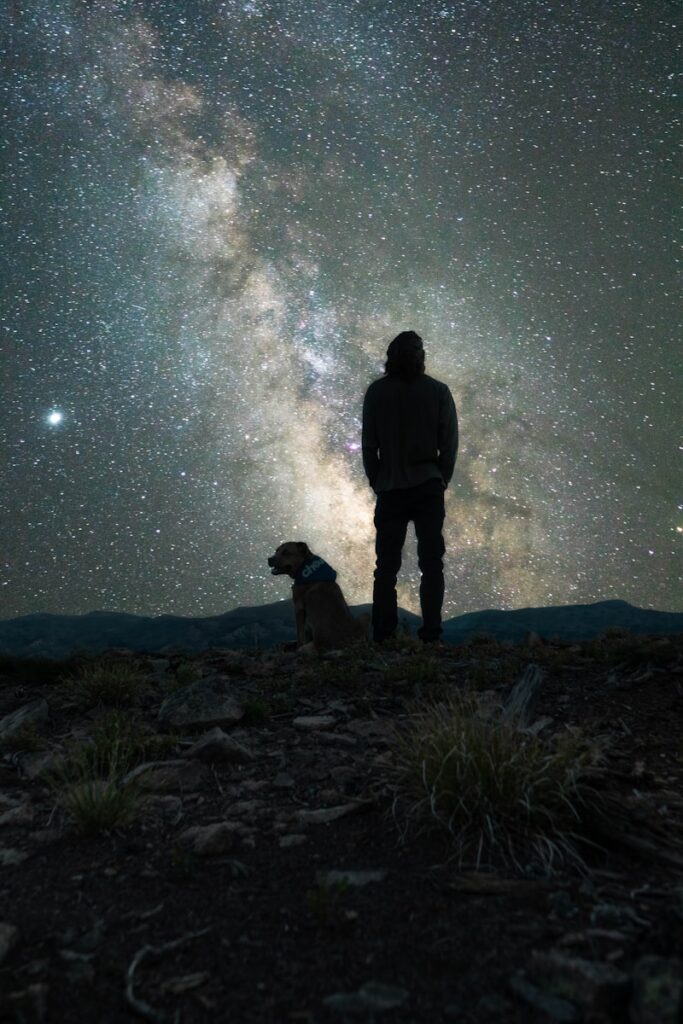 Why Night Safety Matters for Your Ottawa Dog