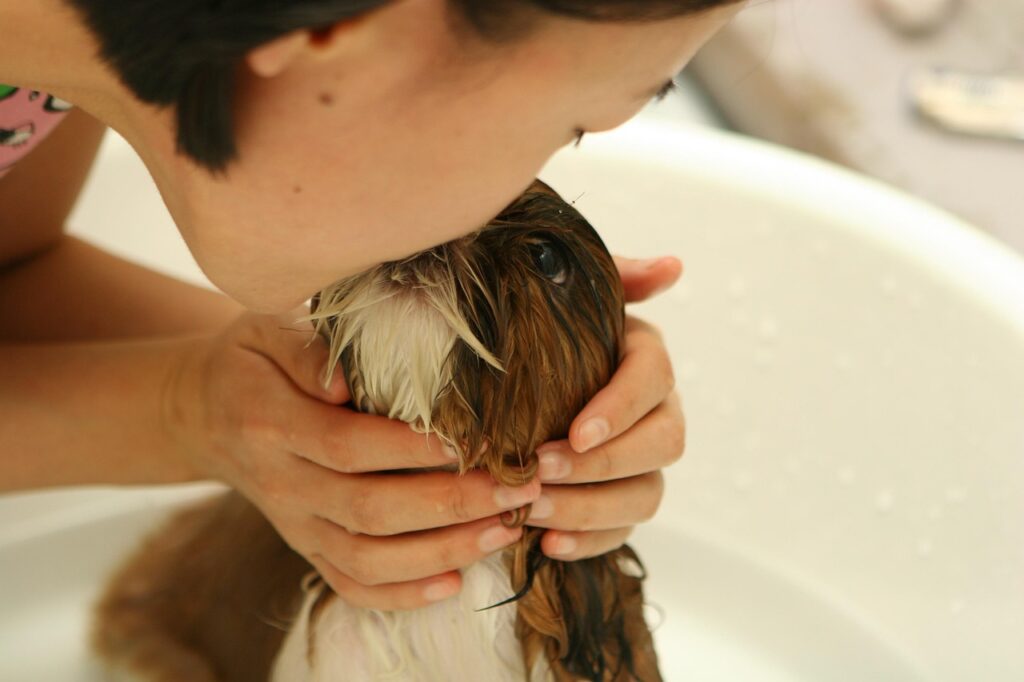 dog, puppy, nature, bath, water, person, animal, girl, friendship, kiss, pet