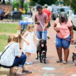 A multicultural group interacting with dogs outdoors on a sunny day in a lively park setting.