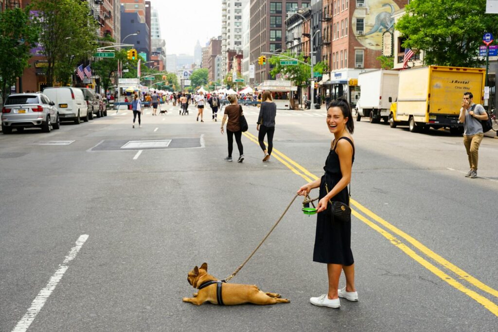 Dog-Friendly Events & Festivals in Ottawa: A Tailwind for Your Pooch