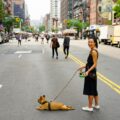 Dog-Friendly Events & Festivals in Ottawa: A Tailwind for Your Pooch