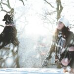 Keeping Your Pup Comfortable in Cold Weather