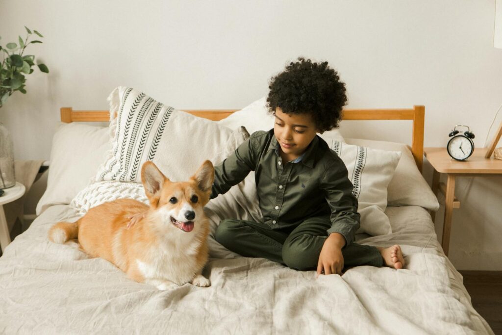A young boy and his Corgi dog share a moment on a comfortable bed, capturing the essence of childhood friendship.