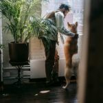 A man and an Akita dog share a tender moment by the window in a cozy apartment filled with plants.