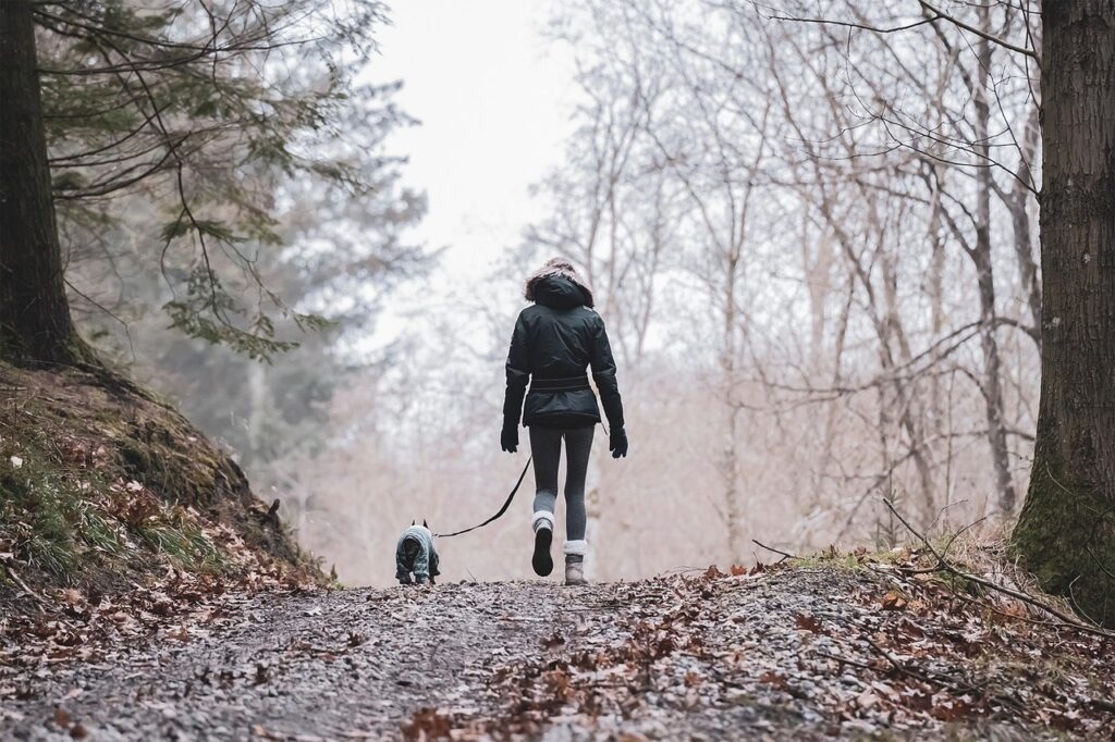 nature, hike, pet, woman, activity, animal, forest, trees, dog