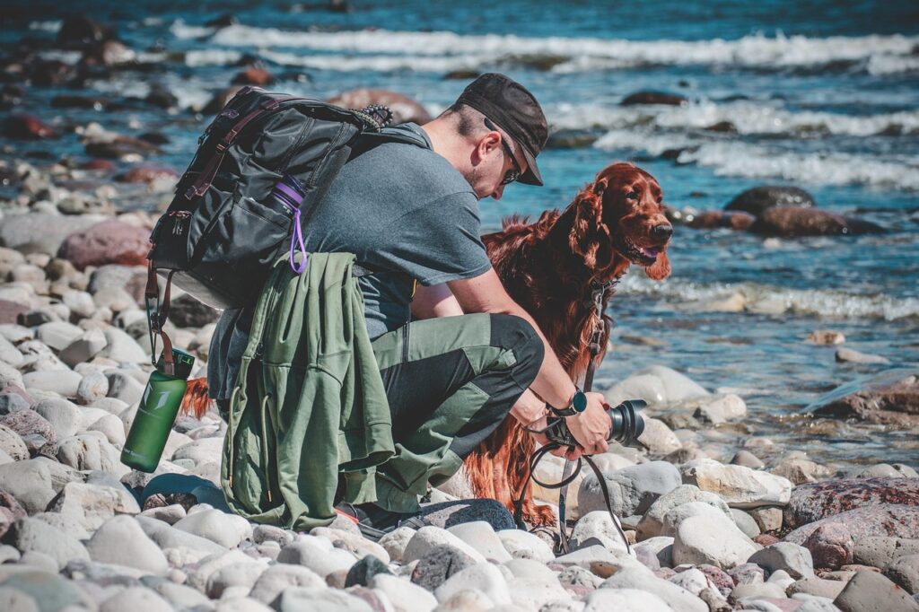 irish setter, beach, photographer, hiker, dog, animal, hiking, outdoors, nature, pet, canine, man