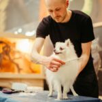 Guide to Safely Trimming Your Dog's Paw Fur in Montreal