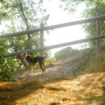Calgary’s Best Walking Trails