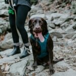 Toronto’s Best Walking Trails