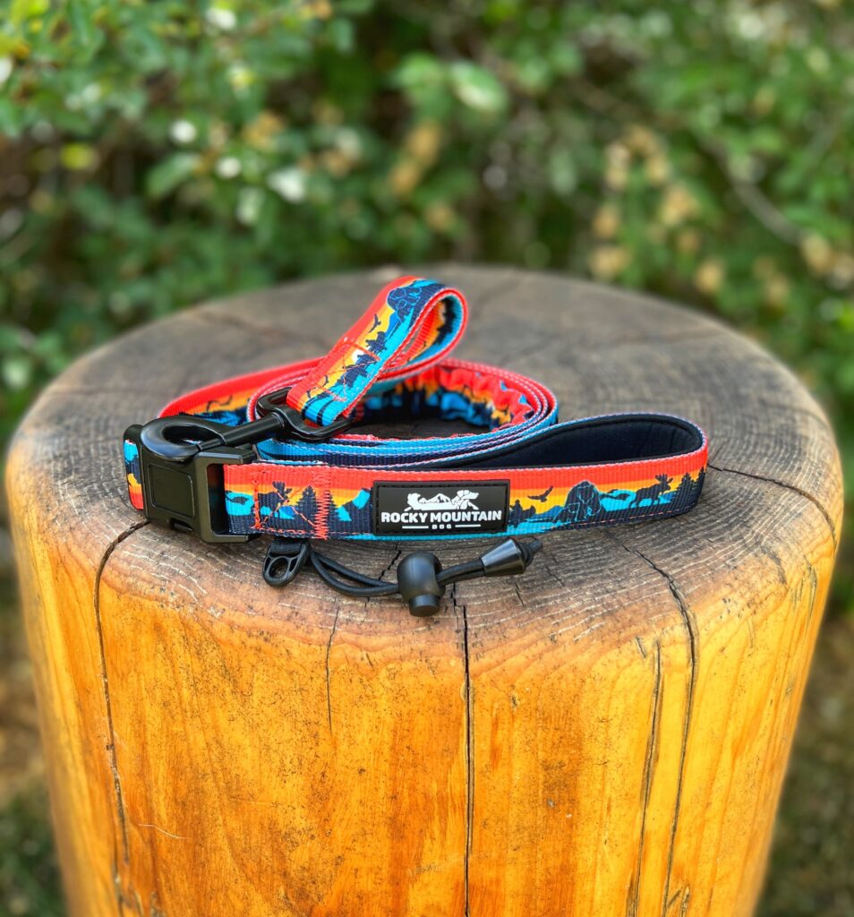 Banff All-Mountain Dog Leash – Perfect for Any Adventure