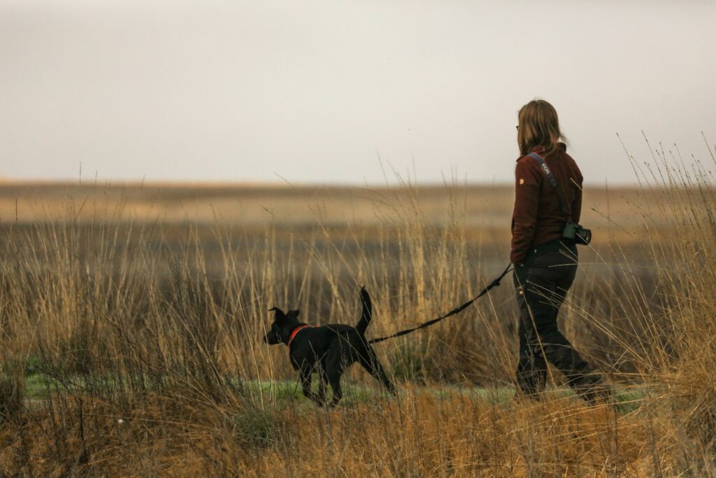 Loose-Leash Walking