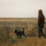 Loose-Leash Walking