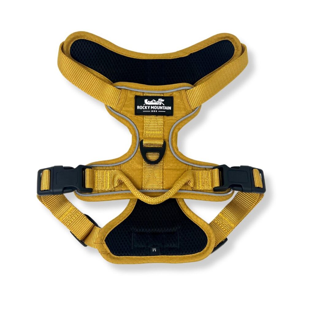 Summit All-Terrain Dog Harness for Adventures | Rocky Mountain Dog